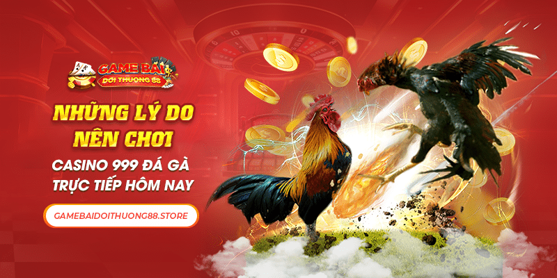 Những Lý Do Nên Chơi Casino 999 Đá Gà Trực Tiếp Hôm Nay