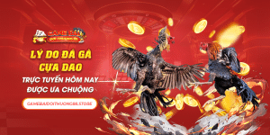 Lý Do Đá Gà Cựa Dao Hôm Nay Được Ưa Chuộng Nhất 2024