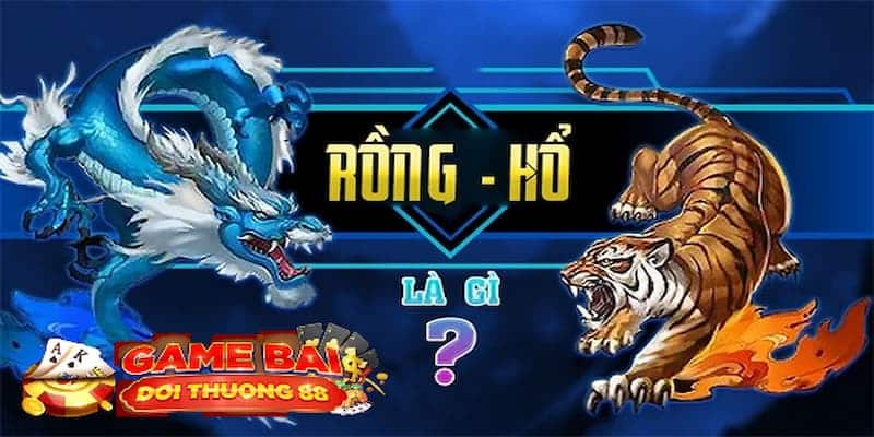 Những nét cơ bản về tựa game rồng hổ