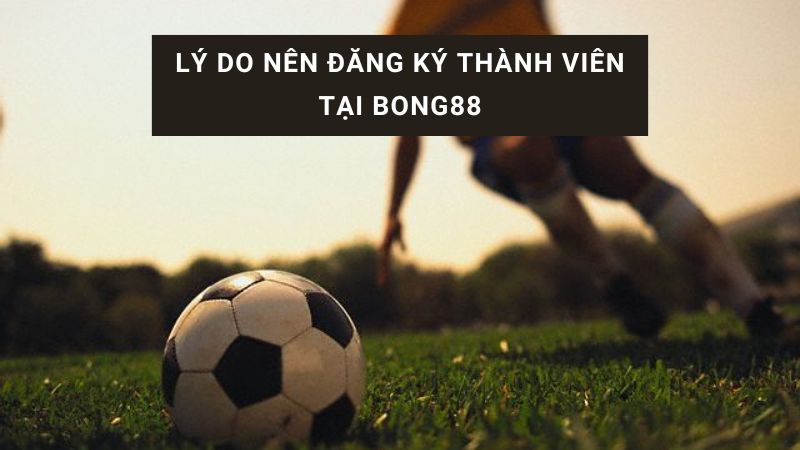 xem trang bong88